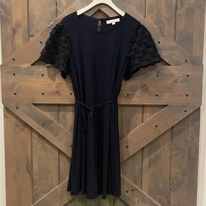 LOFT Navy Dress with Textured Sleeves